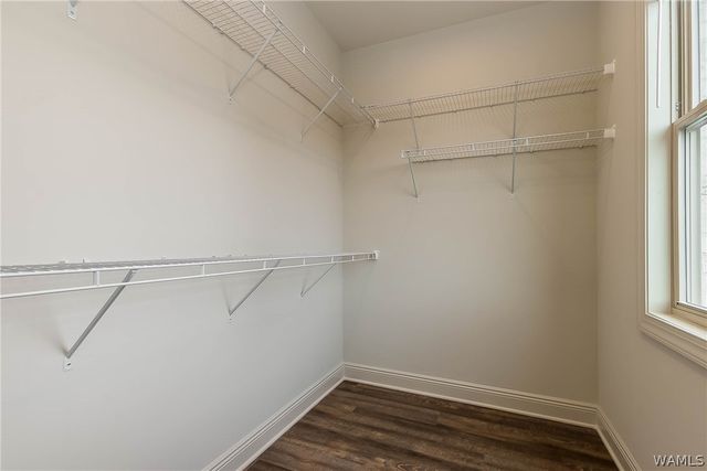 365 16th E, Tuscaloosa, AL 35401
