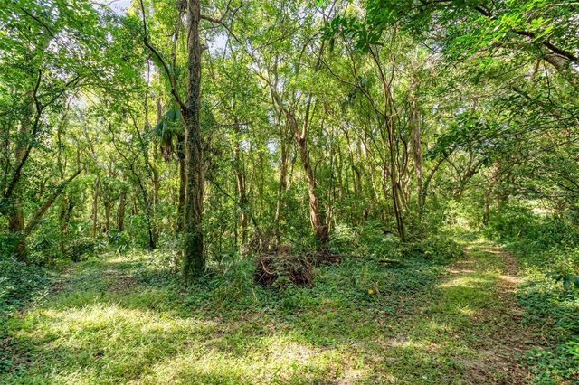 6160 ALLEN STREET, Mount Dora, FL 32757