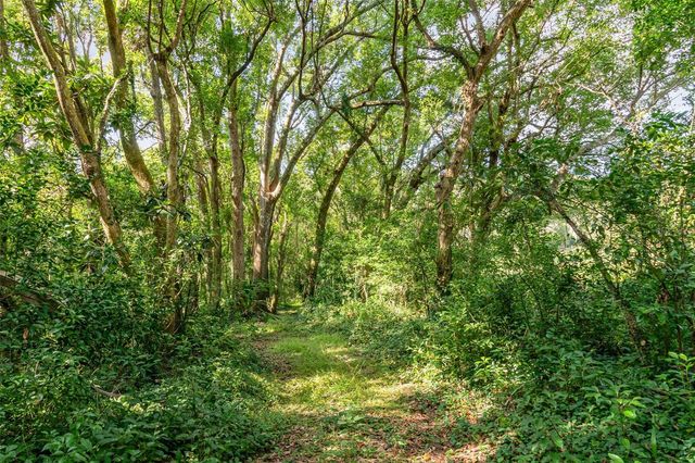 6160 ALLEN STREET, Mount Dora, FL 32757