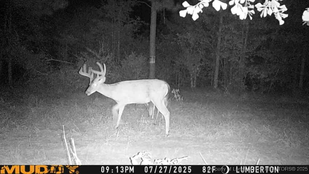Allen Street, Lumberton, NC 28359 — photo 3