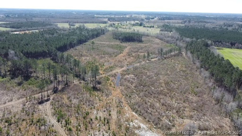 Allen Street, Lumberton, NC 28359 — photo 5