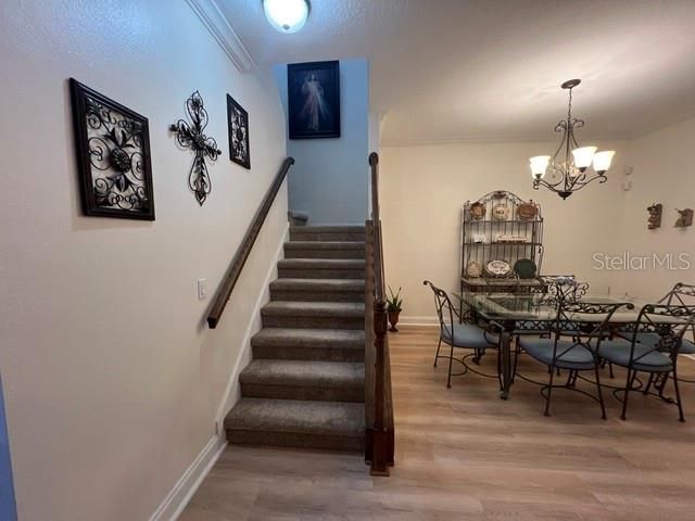 14742 CLARKSON DRIVE, Orlando, FL 32828