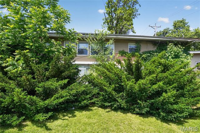 11062 Saginaw Drive, St Louis, MO 63136
