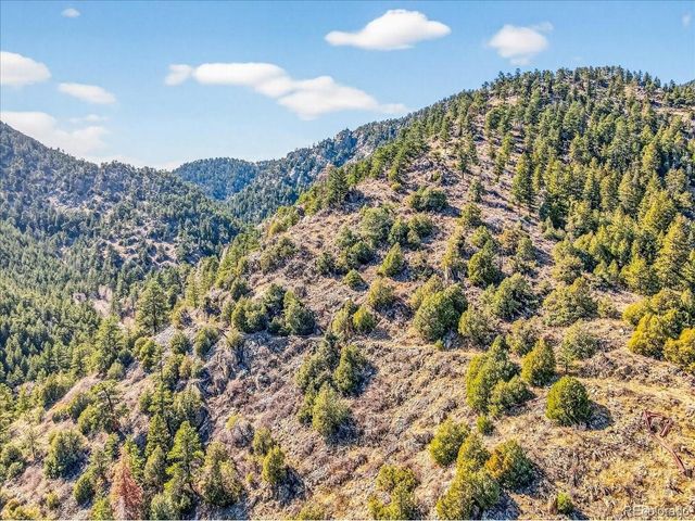 700 County Road 102J, Ward, CO 80481