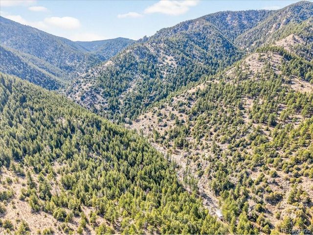 700 County Road 102J, Ward, CO 80481
