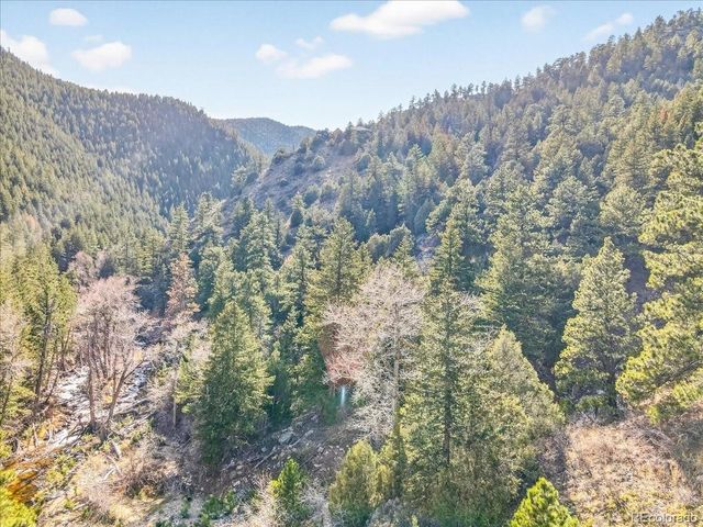 700 County Road 102J, Ward, CO 80481