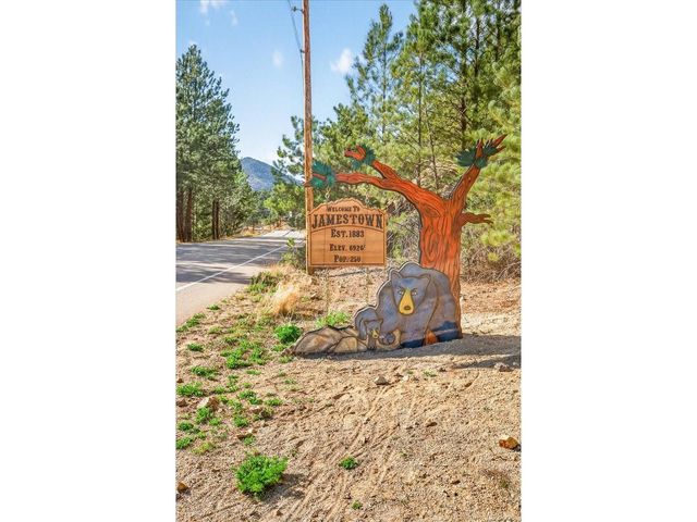 700 County Road 102J, Ward, CO 80481