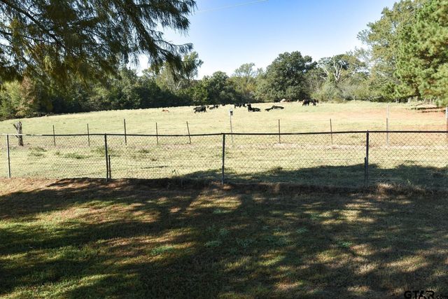 1191 County Road 4186, Quitman, TX 75783