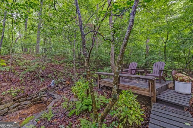 551 Gold Rush Court, Ball Ground, GA 30107