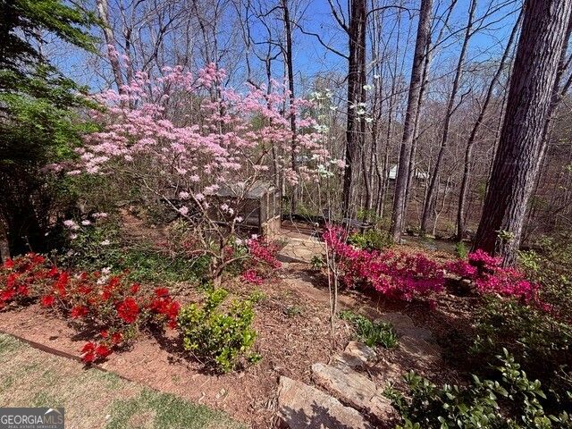 551 Gold Rush Court, Ball Ground, GA 30107