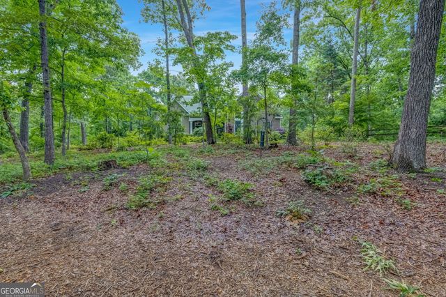 551 Gold Rush Court, Ball Ground, GA 30107