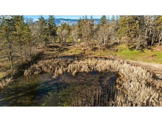 Morgensen Rd, Mosier, OR 97040