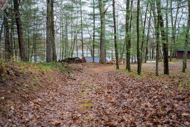 9572 S Oxeye Avenue, Baldwin, MI 49304
