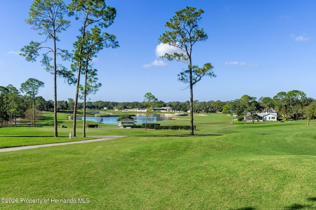 2218 Dove Hollow Drive, Spring Hill, FL 34606
