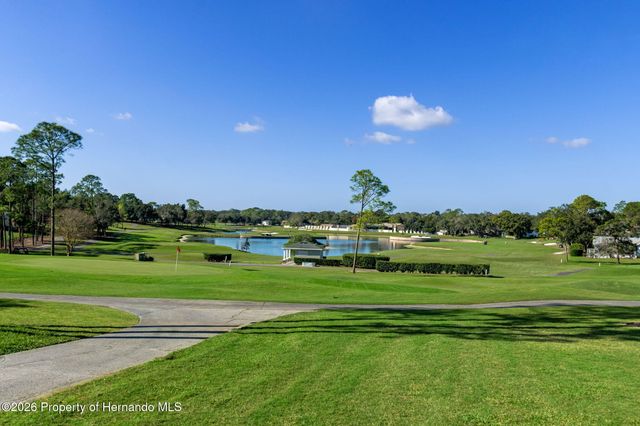 2218 Dove Hollow Drive, Spring Hill, FL 34606