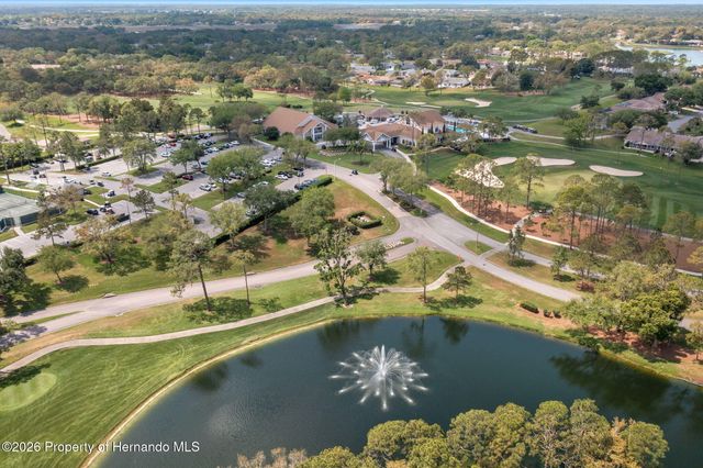 2218 Dove Hollow Drive, Spring Hill, FL 34606