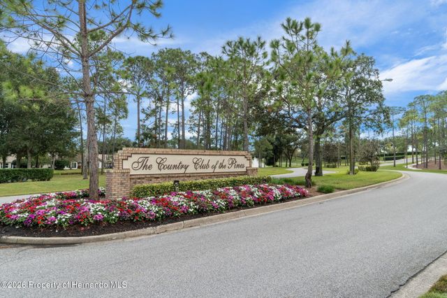 2218 Dove Hollow Drive, Spring Hill, FL 34606