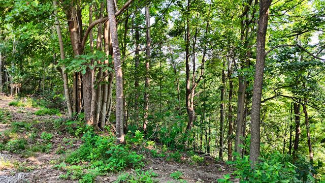 1480 Gravel Hill Rd, Bethpage, TN 37022