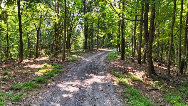 1480 Gravel Hill Rd, Bethpage, TN 37022