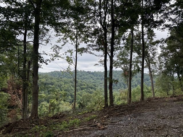 1480 Gravel Hill Rd, Bethpage, TN 37022