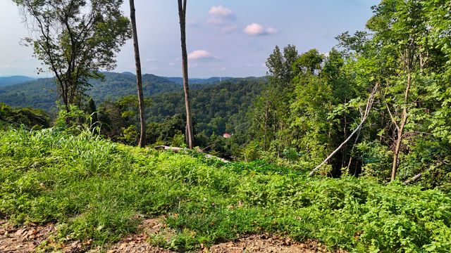 1480 Gravel Hill Rd, Bethpage, TN 37022