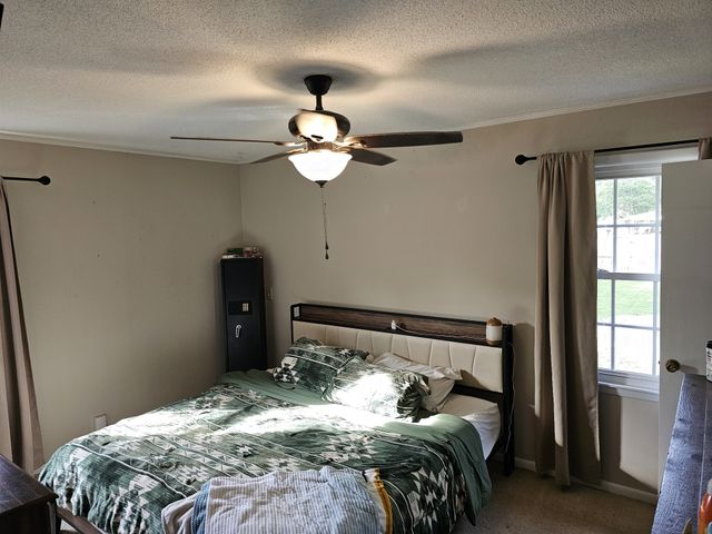 106 Willow St, N, Cowan, TN 37318