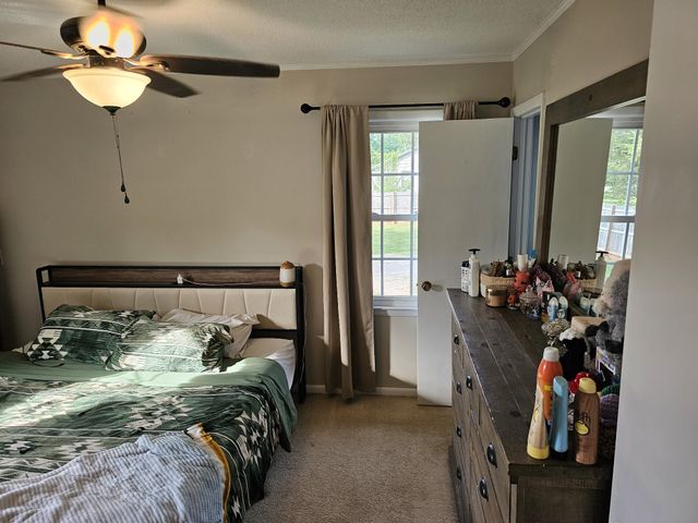 106 Willow St, N, Cowan, TN 37318