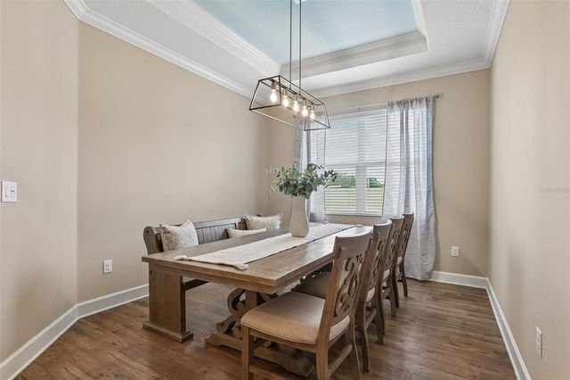 17539 BUCKINGHAM GARDEN DRIVE, Lithia, FL 33547