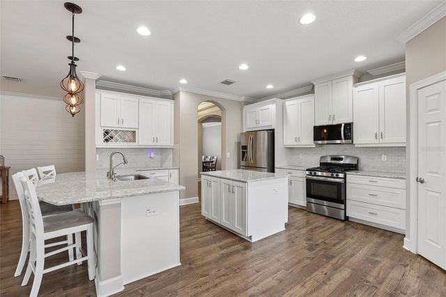 17539 BUCKINGHAM GARDEN DRIVE, Lithia, FL 33547
