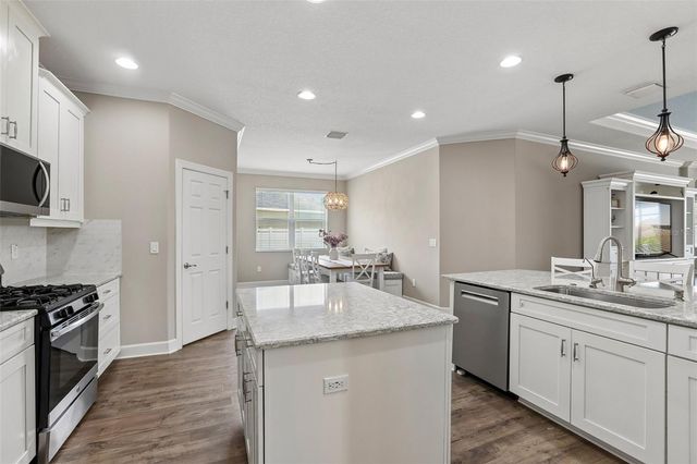 17539 BUCKINGHAM GARDEN DRIVE, Lithia, FL 33547
