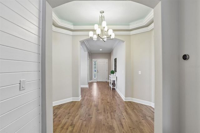 17539 BUCKINGHAM GARDEN DRIVE, Lithia, FL 33547