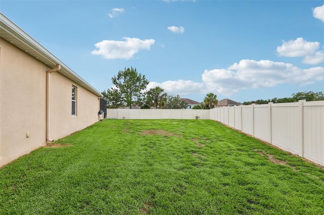17539 BUCKINGHAM GARDEN DRIVE, Lithia, FL 33547