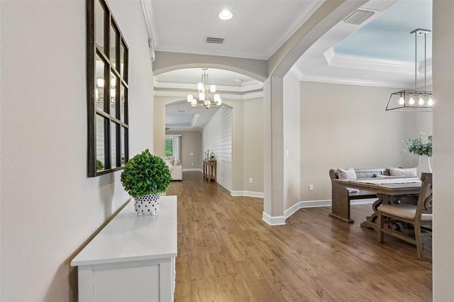 17539 BUCKINGHAM GARDEN DRIVE, Lithia, FL 33547