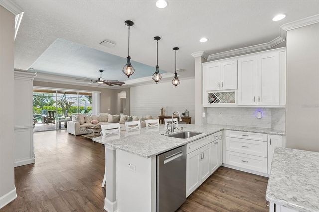 17539 BUCKINGHAM GARDEN DRIVE, Lithia, FL 33547