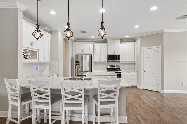 17539 BUCKINGHAM GARDEN DRIVE, Lithia, FL 33547