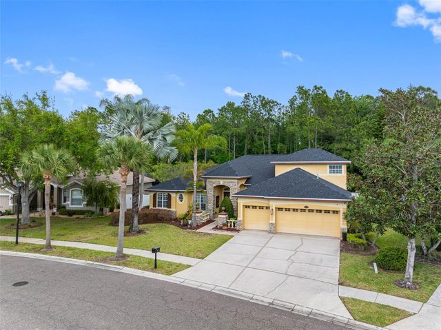 16750 IVY LAKE DRIVE, Odessa, FL 33556