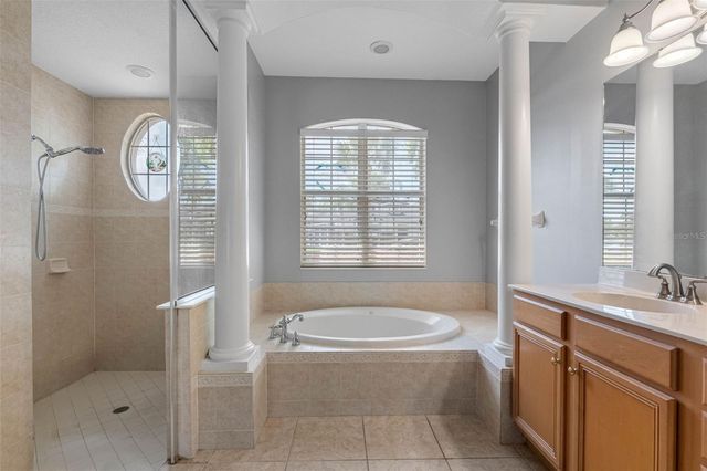 16750 IVY LAKE DRIVE, Odessa, FL 33556