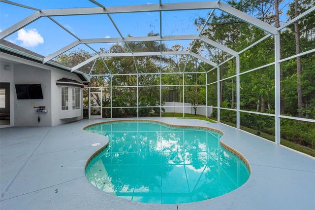 16750 IVY LAKE DRIVE, Odessa, FL 33556