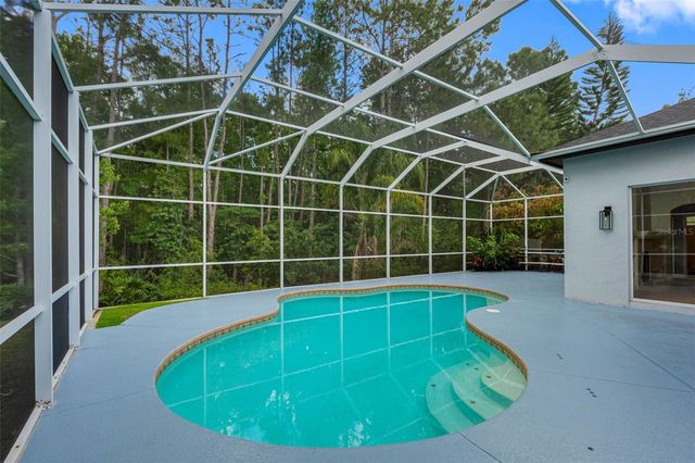 16750 IVY LAKE DRIVE, Odessa, FL 33556