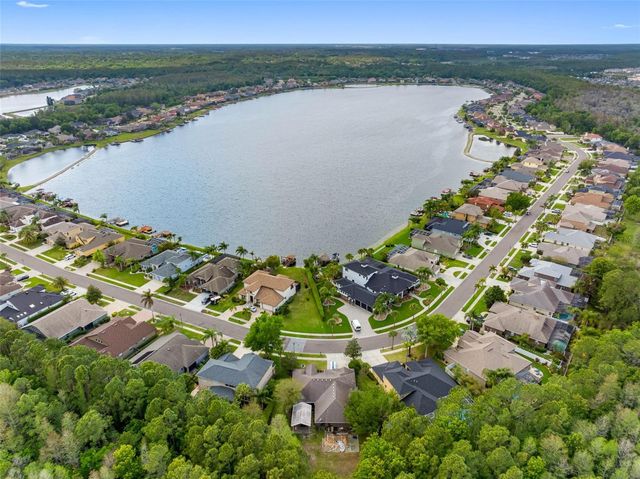 16750 IVY LAKE DRIVE, Odessa, FL 33556
