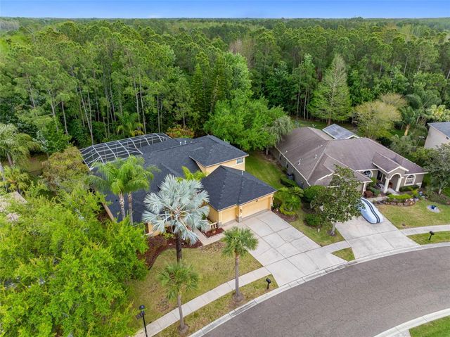 16750 IVY LAKE DRIVE, Odessa, FL 33556