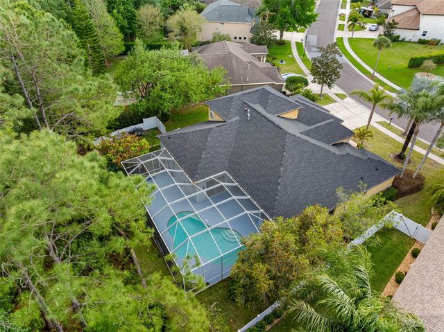 16750 IVY LAKE DRIVE, Odessa, FL 33556