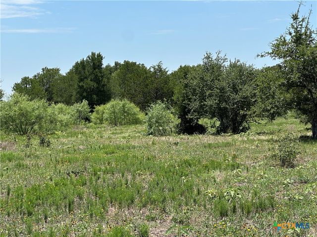 Tract 3D Hwy 95, Smithville, TX 78957
