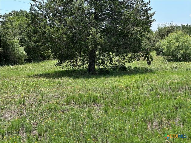 Tract 3D Hwy 95, Smithville, TX 78957