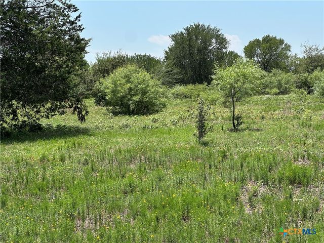 Tract 3D Hwy 95, Smithville, TX 78957