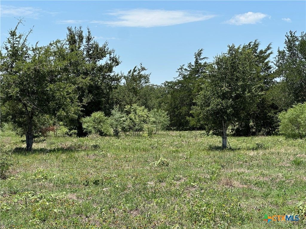 Tract 3D Hwy 95, Smithville, TX 78957