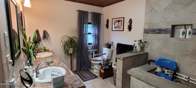 1499 Big Ridge Rd, Spring City, TN 37381