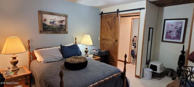 1499 Big Ridge Rd, Spring City, TN 37381