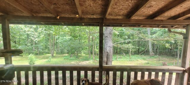 1499 Big Ridge Rd, Spring City, TN 37381