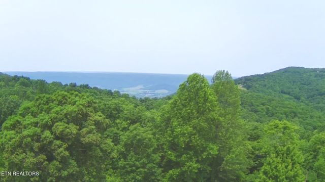 1499 Big Ridge Rd, Spring City, TN 37381